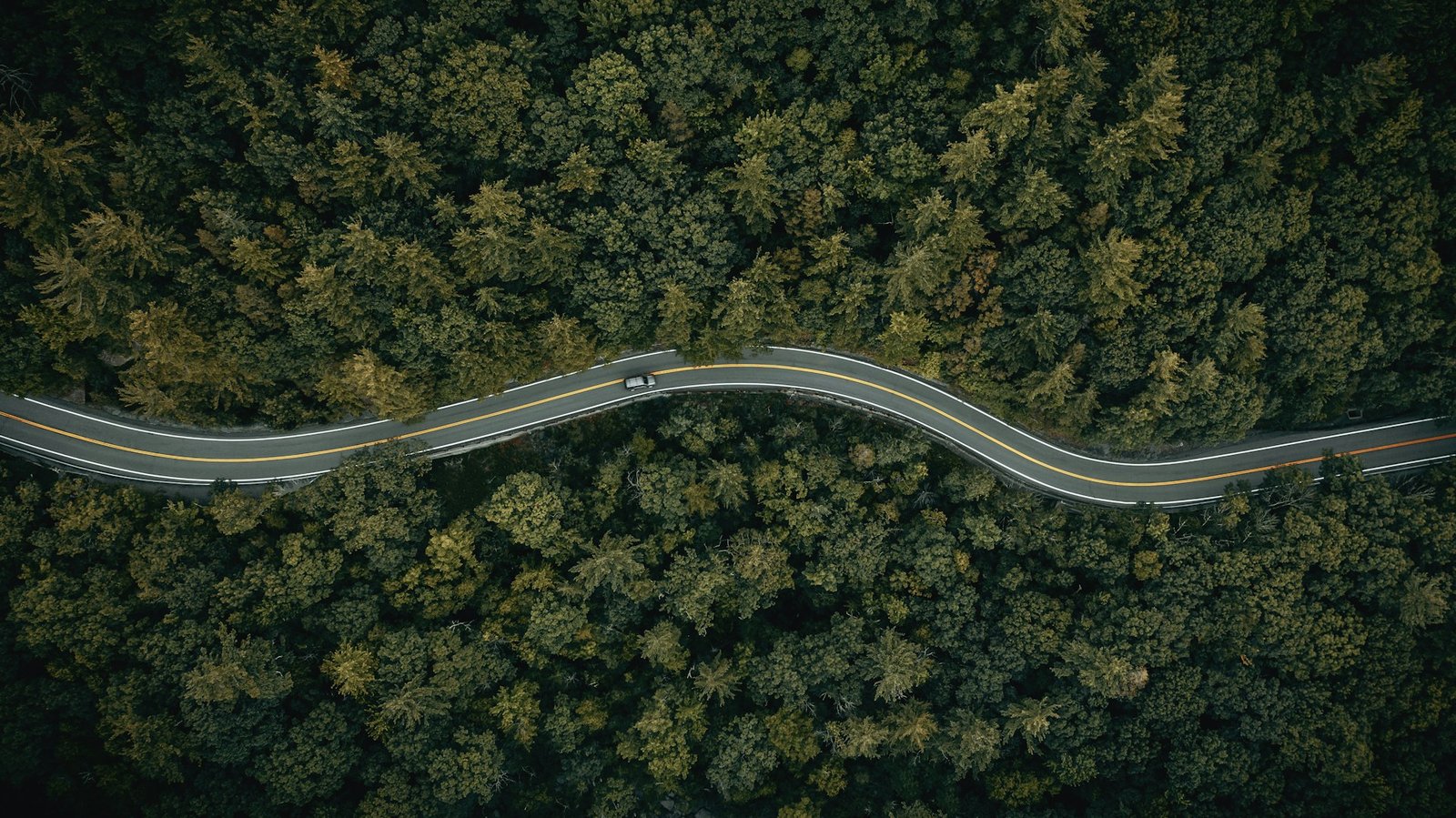 Long road stretching through open landscape